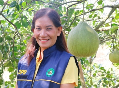 ลงพื้นที่ตรวจเยี่ยมและติดตามการดำเนินงานของศูนย์เรียนรู้การปลูกส้มโอทับทิมสยามบ้านแสงวิมานตำบลคลองน้อย อำเภอปากพนัง จังหวัดนครศรีธรรมราช โดยนายชวกิจจ์ สุวรรณคีรี รองผู้ว่าราชการจังหวัดนครศรีธรรมราช กล่าวต้อนรับพร้อมนายวิศิษฐ์ ศรีสุวรรณ์ อธิบดีกรมส่งเสริม ... พารามิเตอร์รูปภาพ 10
